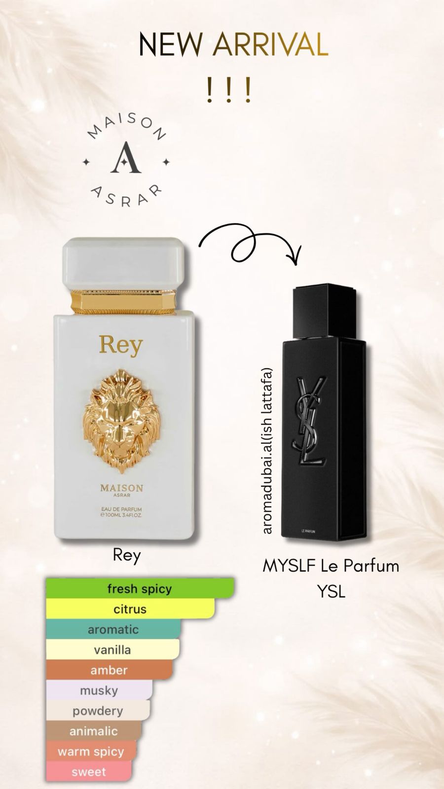 Rey MAISON ASRAR