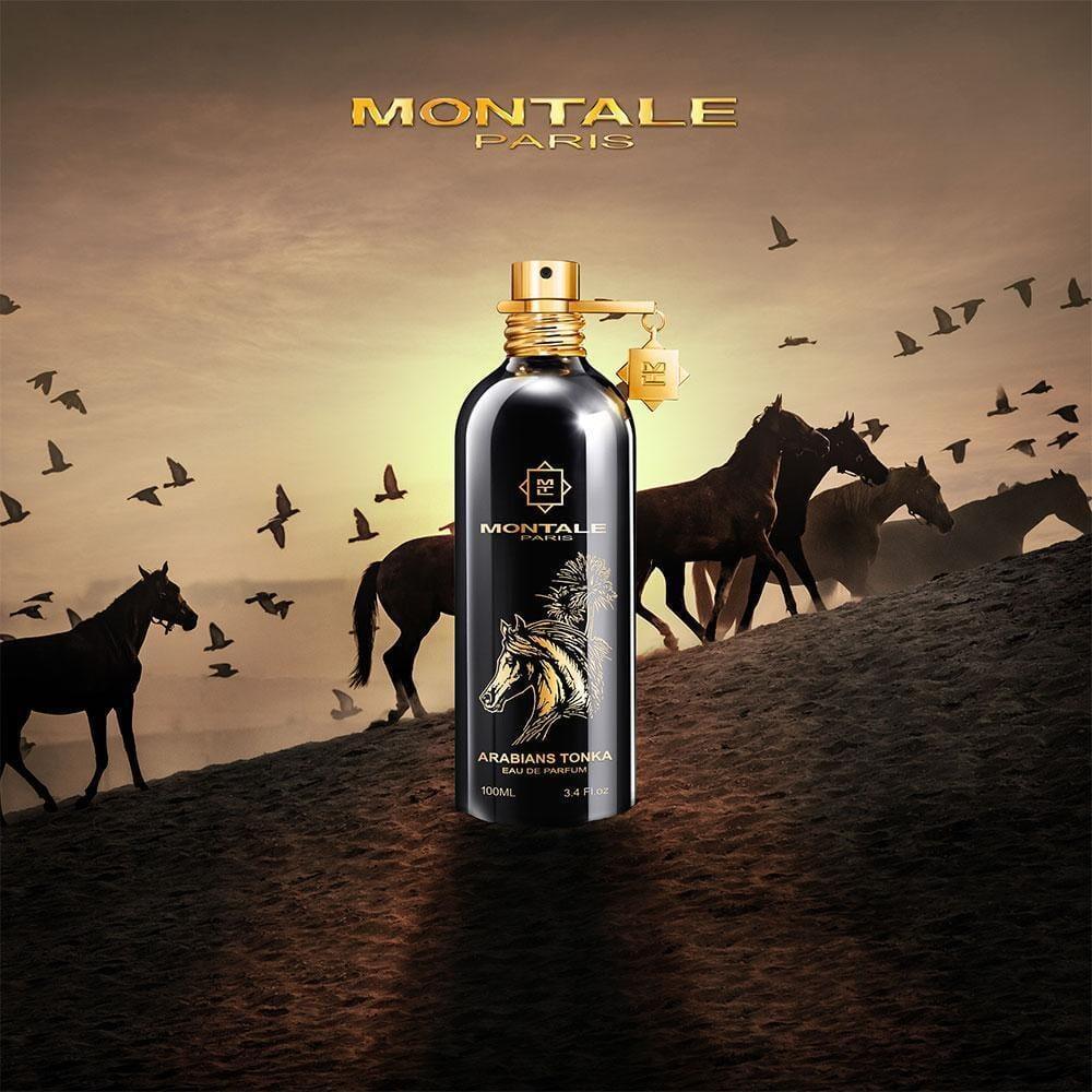 Arabian's Tonka by Montal