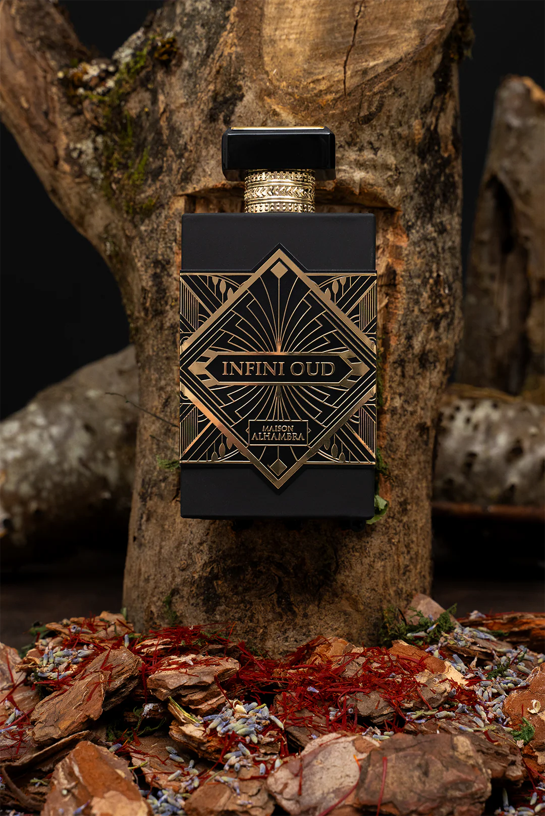 Maison Alhambra Infini Oud